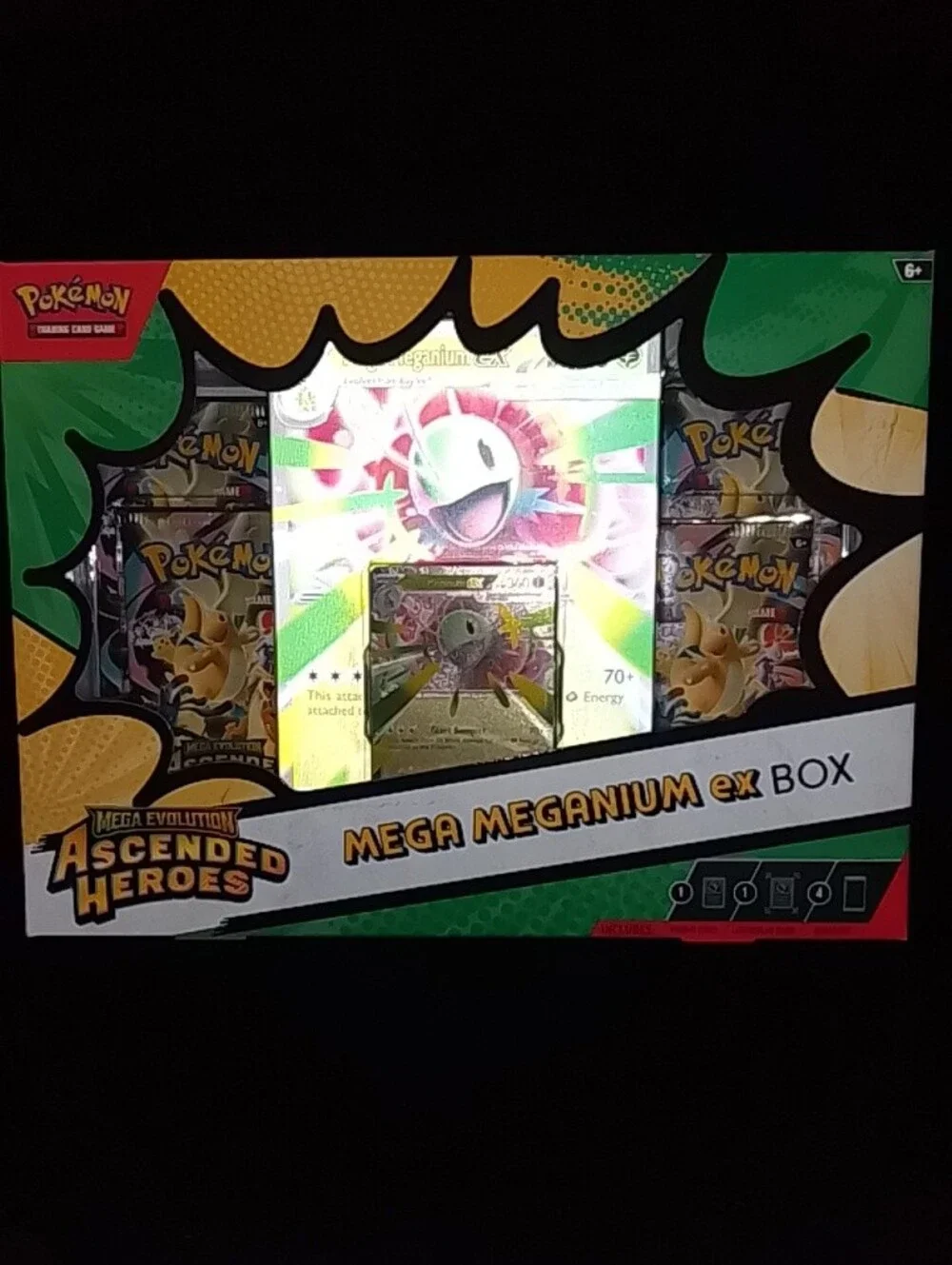 New Pokemon Meganium ex Box - Green